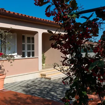 Veli Vrh Apartament